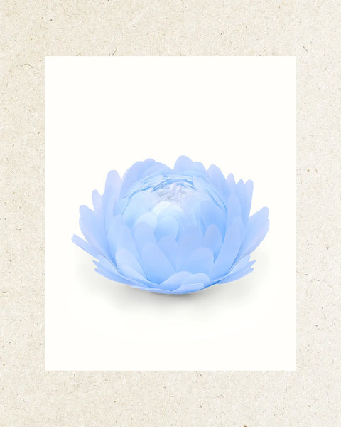 The Peony - Artisan Beeswax Aromatique Candle