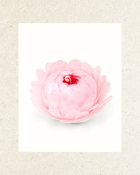 The Peony - Artisan Beeswax Aromatique Candle