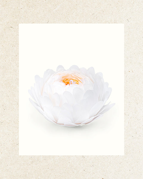 The Peony - Artisan Beeswax Aromatique Candle