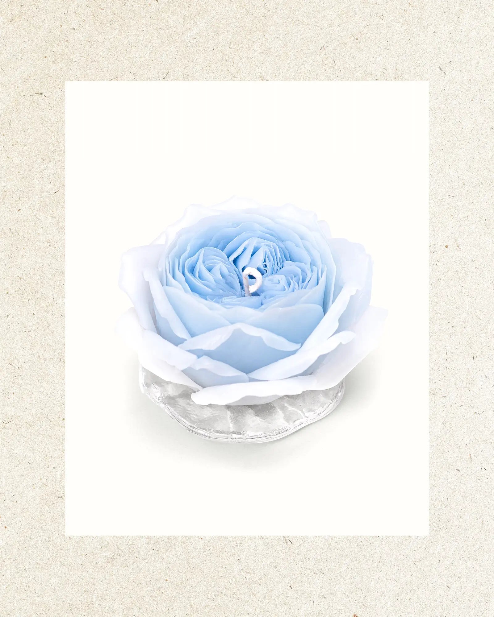 Soft Blue | White Tea hover image