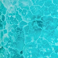 Variant Color