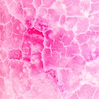 Variant Color